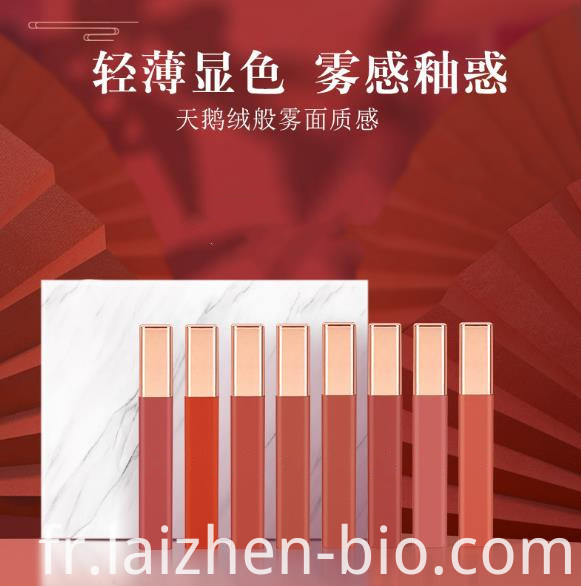 brillant à lèvres imperméable mat matte waterproof lip gloss